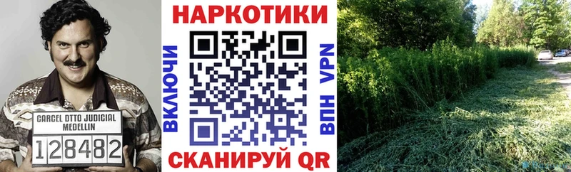 Какие есть наркотики Алексин MDMA  МЕФ  ГАШ  Канабис  APVP 