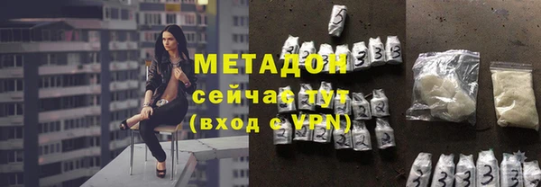 индика Алзамай