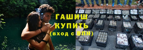 индика Алзамай