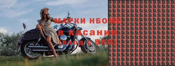 индика Алзамай