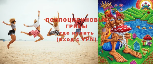 соль ск Алексин