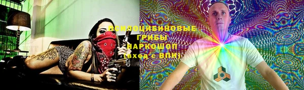 соль ск Алексин