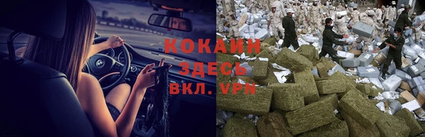 индика Алзамай