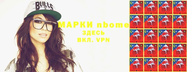 индика Алзамай